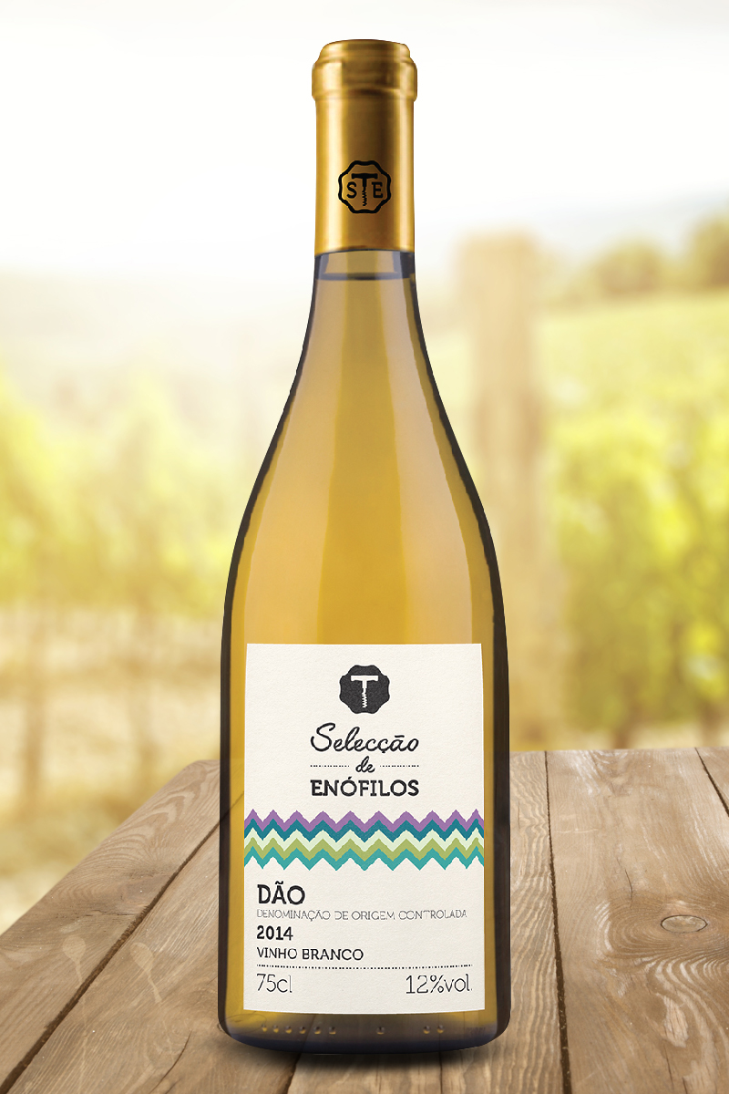 Selecção de Enófilos Dão Branco 2014