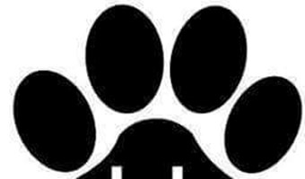 Imagem Quatro Patas e Focinhos
