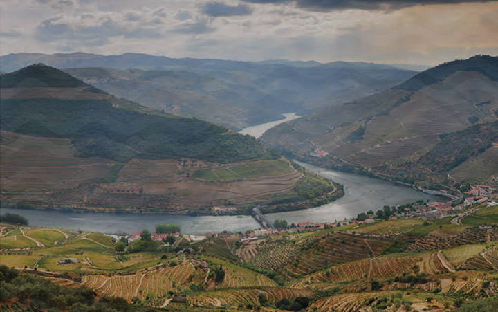 Selecção de Enófilos Doc Douro