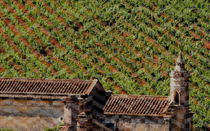 Selecção de Enófilos Vinho Regional Lisboa