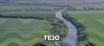 Tejo