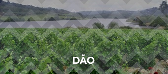 Dão