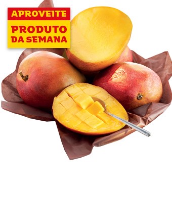 Imagem Sem16 - Manga