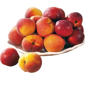 Imagem Sem28 - Nectarina