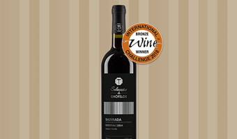 Imagem Vinhos Premiados 2018 - Tinto Doc Bairrada Reserva 2014