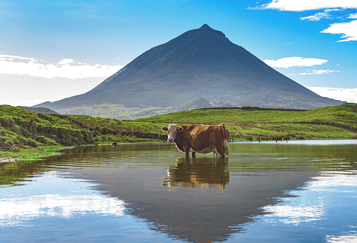 Tesouros de Portugal 