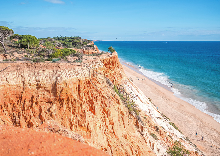 PRAIA DA FALÉSIA