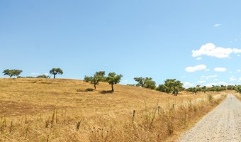 Imagem Momentos com Sabor a Portugal