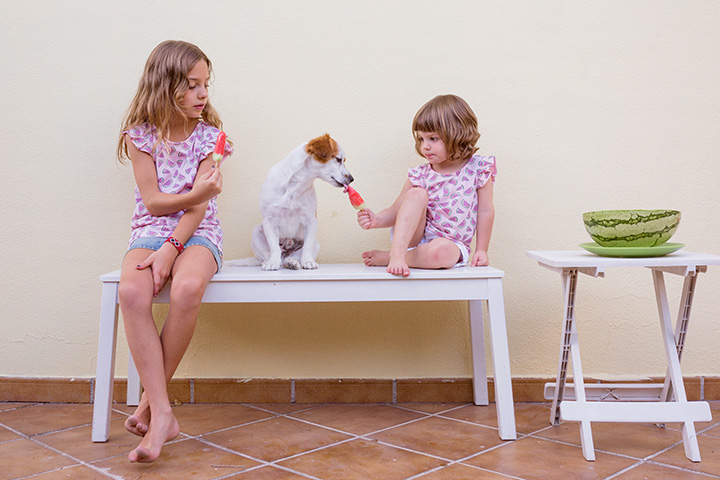 Alimentação refrescante e canina
