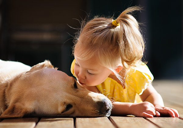 Crianças e cães: algumas regras para um convívio saudável	