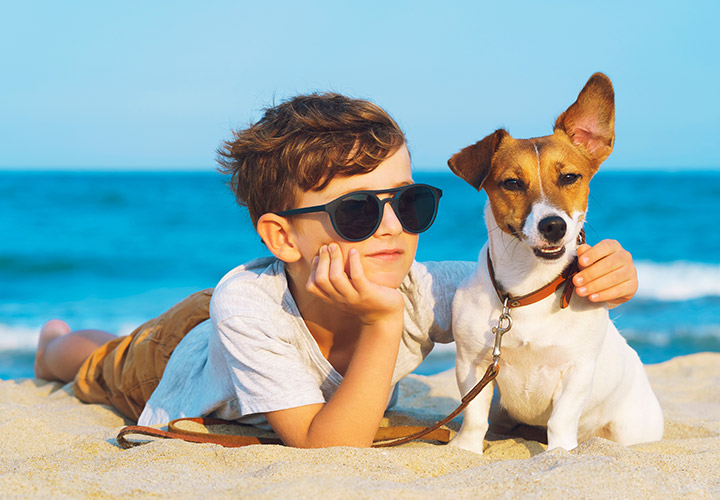 Crianças e cães: algumas regras para um convívio saudável	
