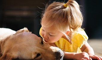 Imagem Criancas e caes: algumas regras para um convivio saudavel