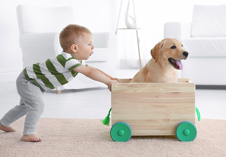 Crianças e cães: algumas regras para um convívio saudável	