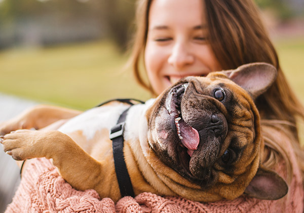 Alergia ao pêlo do cão? E agora? 