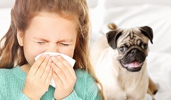 Imagem Alergia ao pelo do cao