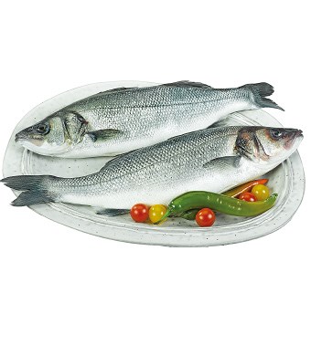 Imagem Sem42 - Robalo