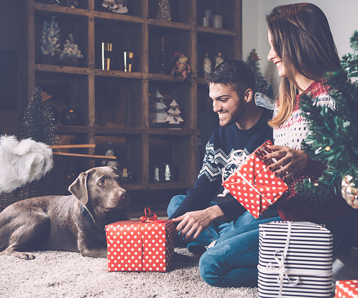 Um feliz natal ao Animal de Estimação 