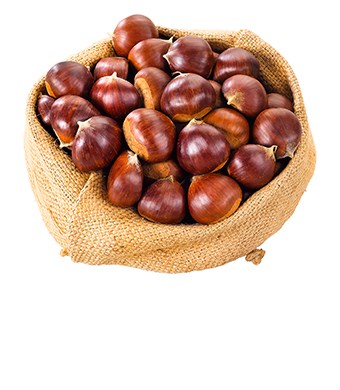 Imagem Sem45 - Castanha