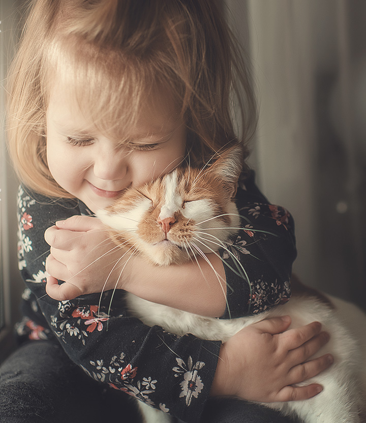 Os animais não são presentes 