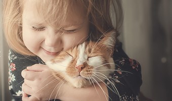 Imagem Os animais nao sao presentes