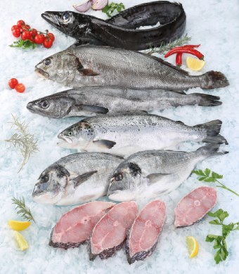 Imagem Sem7 - Peixe Fresco