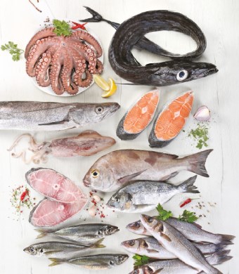 Imagem Sem12 - Peixe Fresco