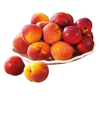 Imagem Sem28 - Nectarina