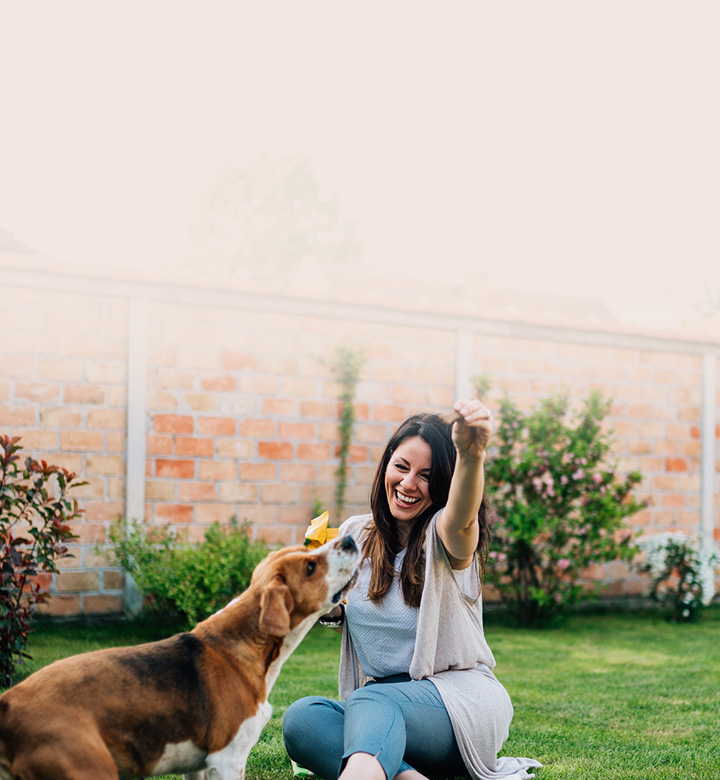 Dicas para animais