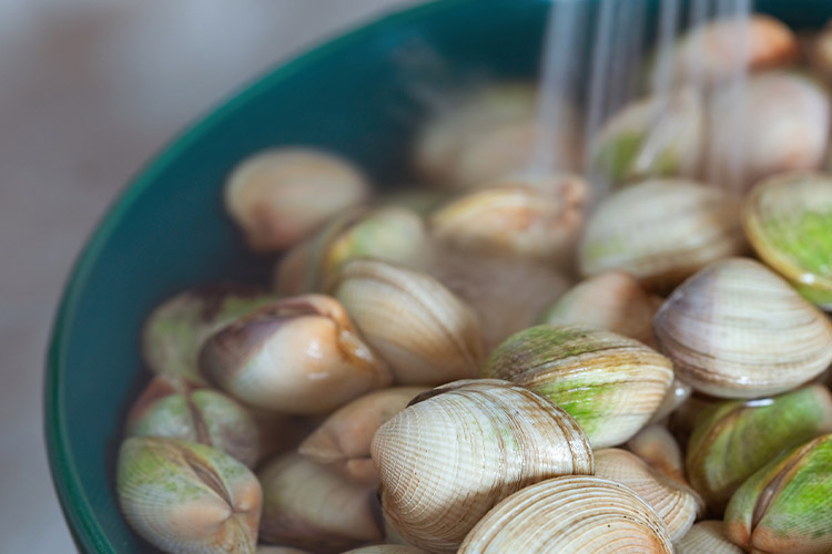 Amêijoa, um clássico da cozinha portuguesa