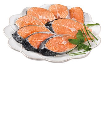 Imagem Sem 38 - Salmão
