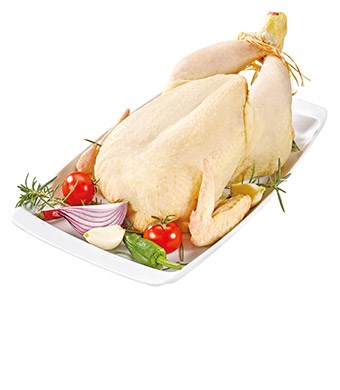 Imagem Sem 42 - Frango