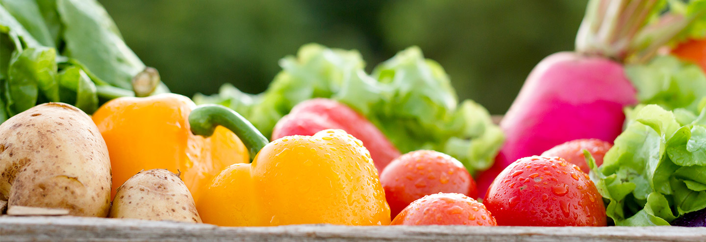 Imagem Diminua o desperdicio alimentar