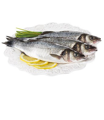 Imagem Sem 49 - Robalo