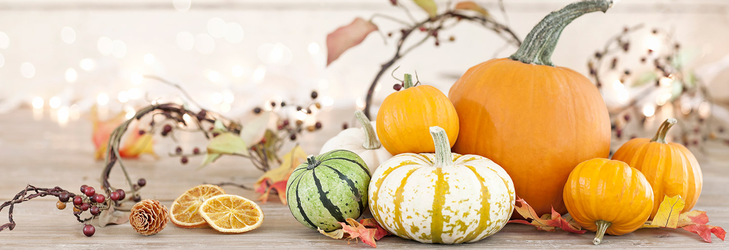 Imagem Frescos de Outono