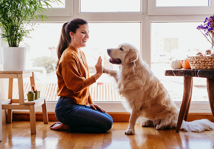 não se esqueça de fazer uma pausa