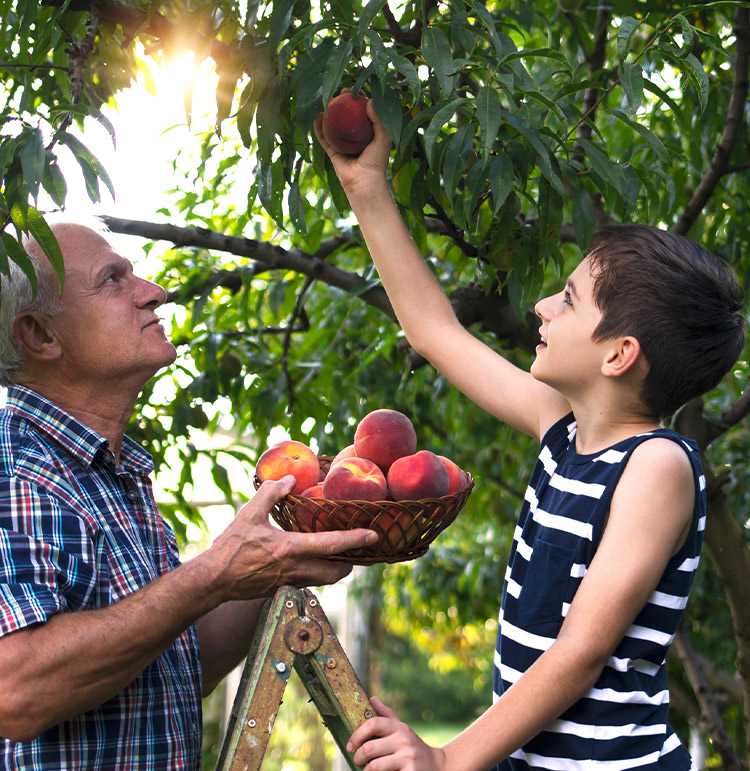 baldes e pás de praia