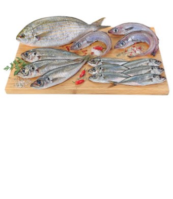 Imagem Sem 33- Peixe Fresco