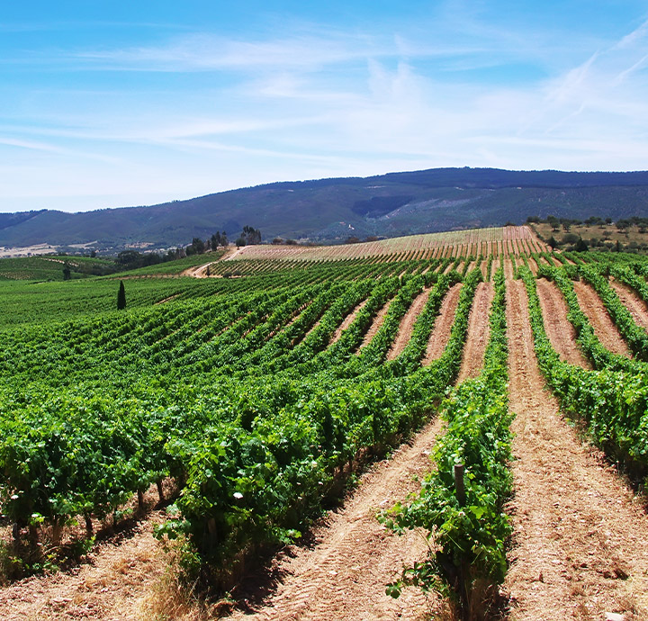 Alentejo