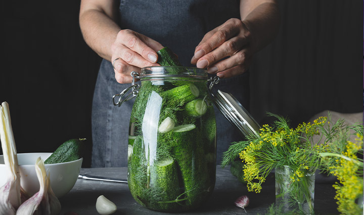 Alimentos fermentados