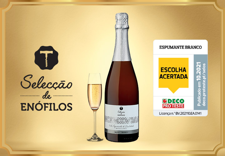 Especial Brinquedos