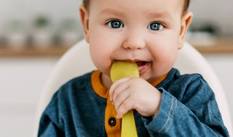 Imagem Alimentação infantil: comida para todos