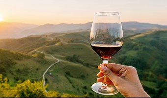 Imagem Interpretar notas de Prova de Vinho