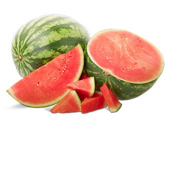 Imagem Sem 21- melancia riscada