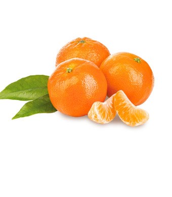 Imagem Sem 4- clementina