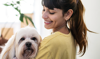 Imagem Os documentos para o seu animal