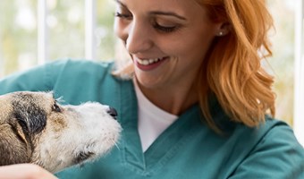 Imagem Tudo sobre desparasitação