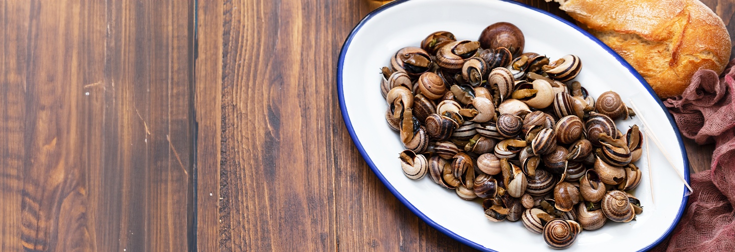 Imagem Caracol: o amigo das dietas