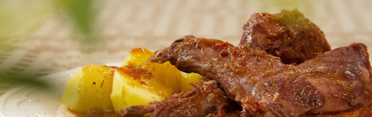 Imagem COELHO A CACADOR