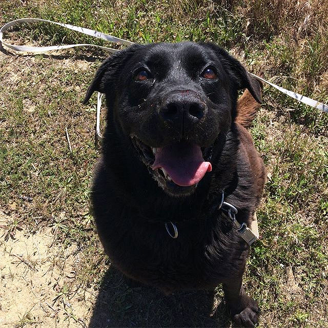 À procura de finais felizes